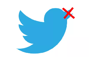 Is Twitter Doing Enough to Stop Discrimination?